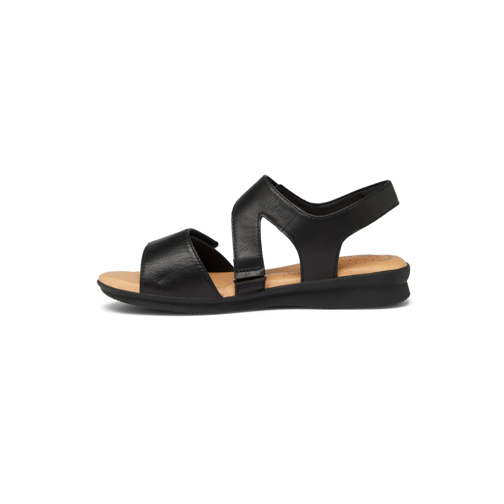 Nessa H Black