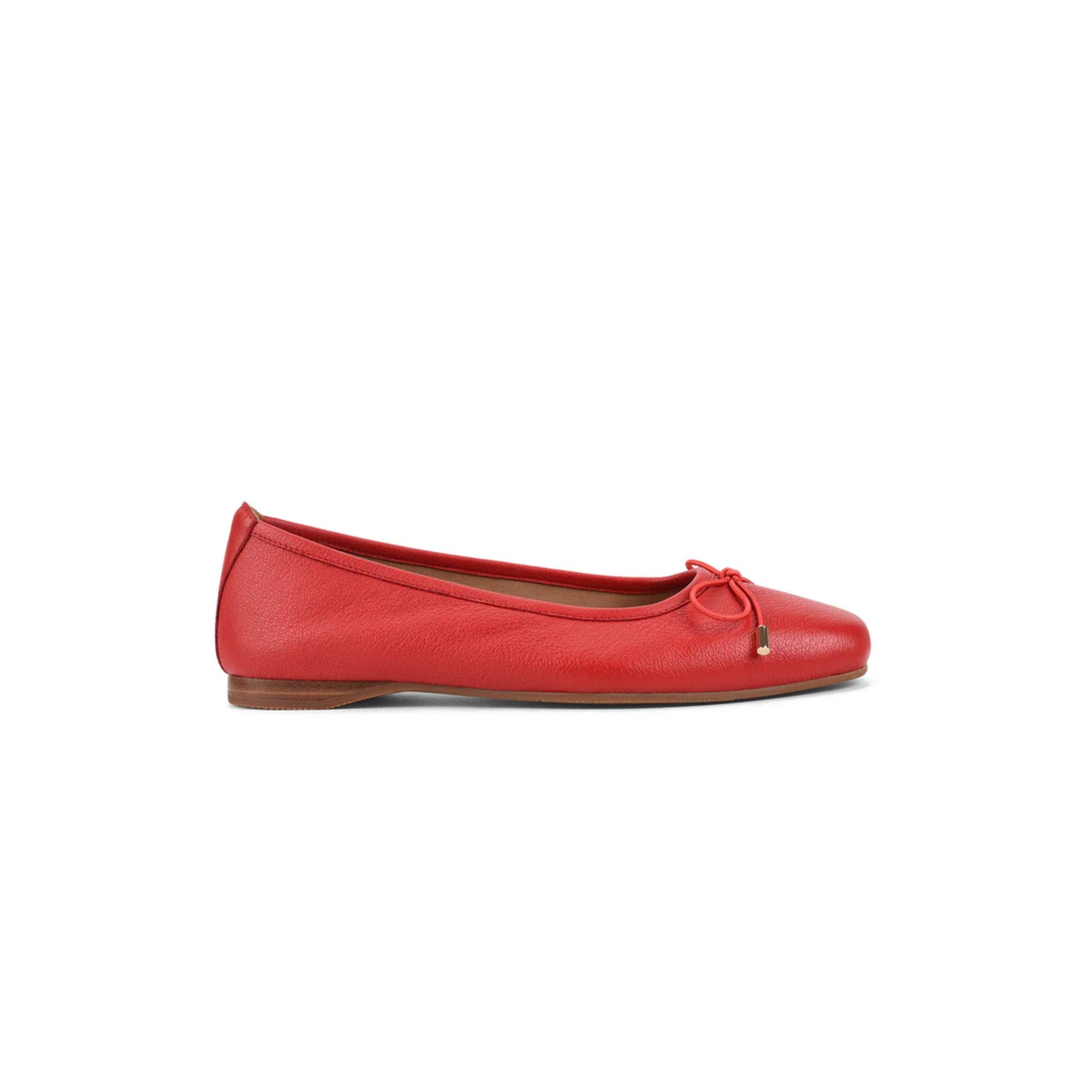 Kettle Red-Maple