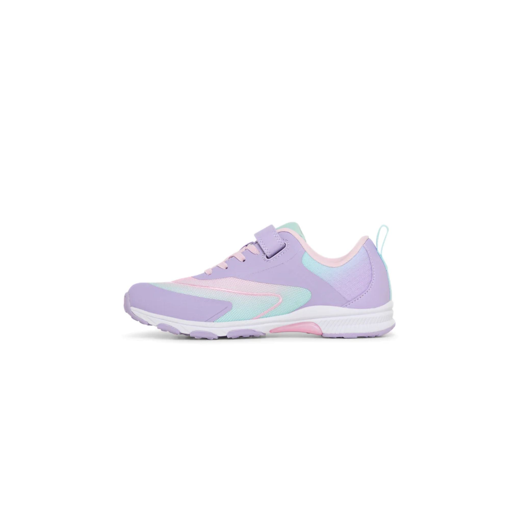 North Lilac Rainbow