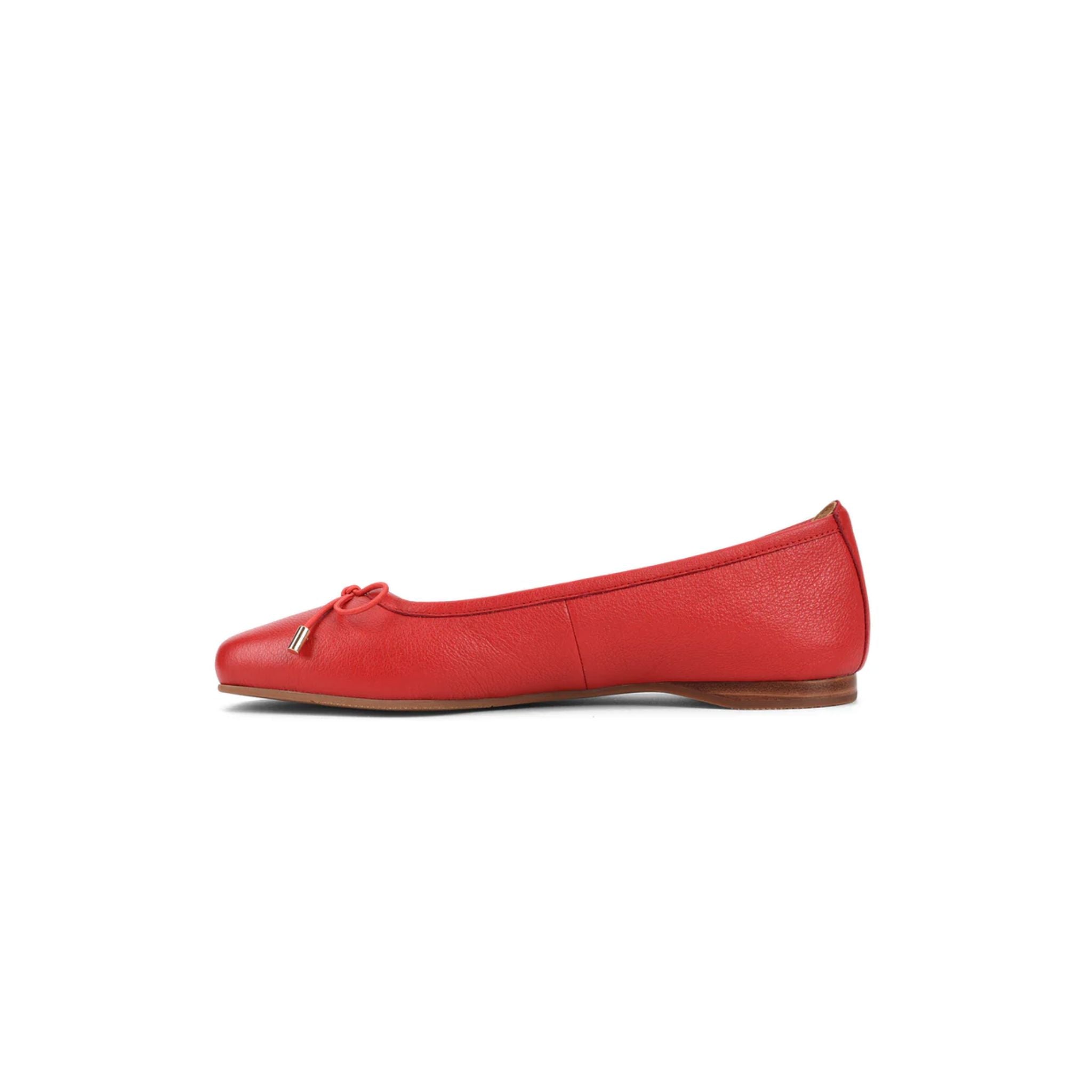 Kettle Red-Maple