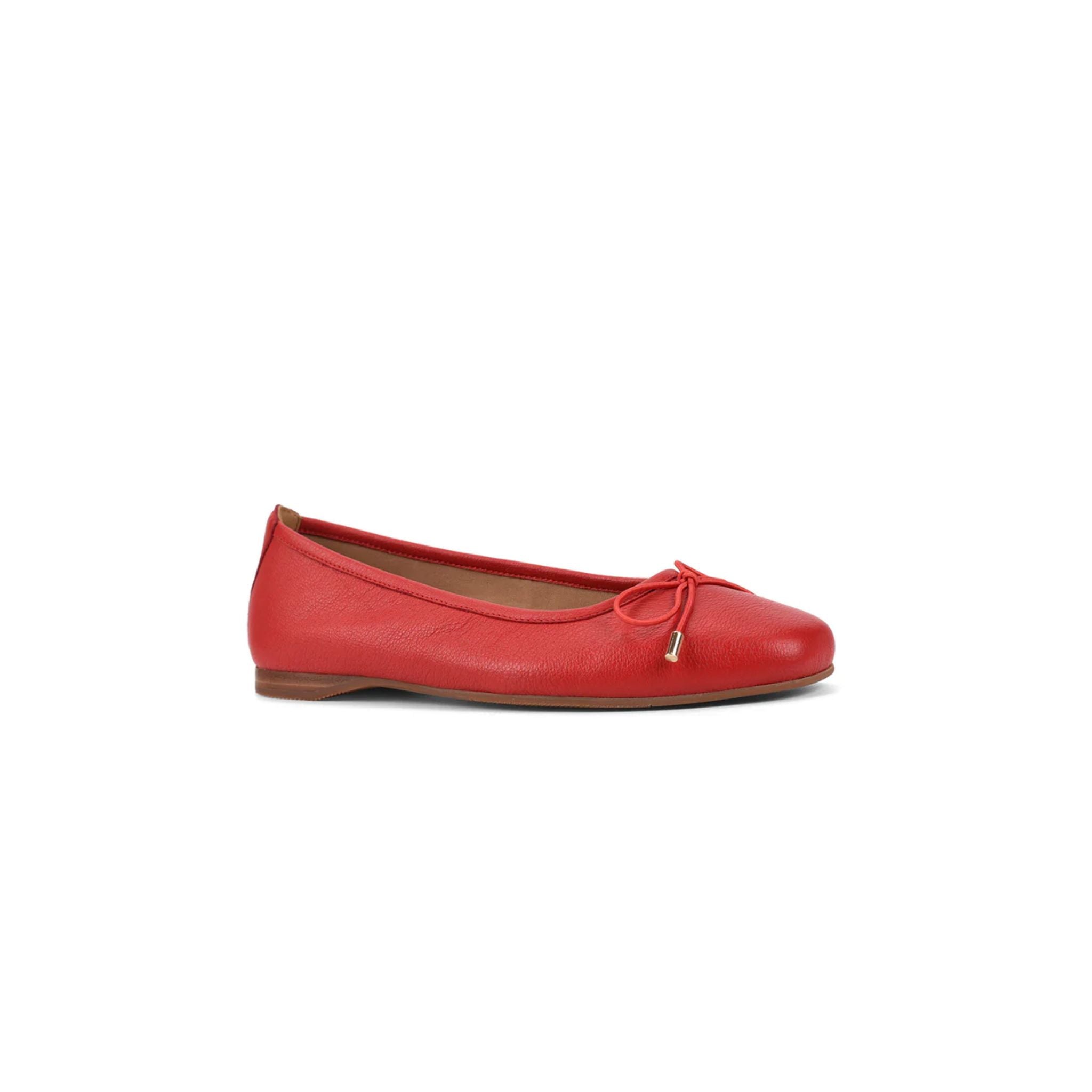 Kettle Red-Maple