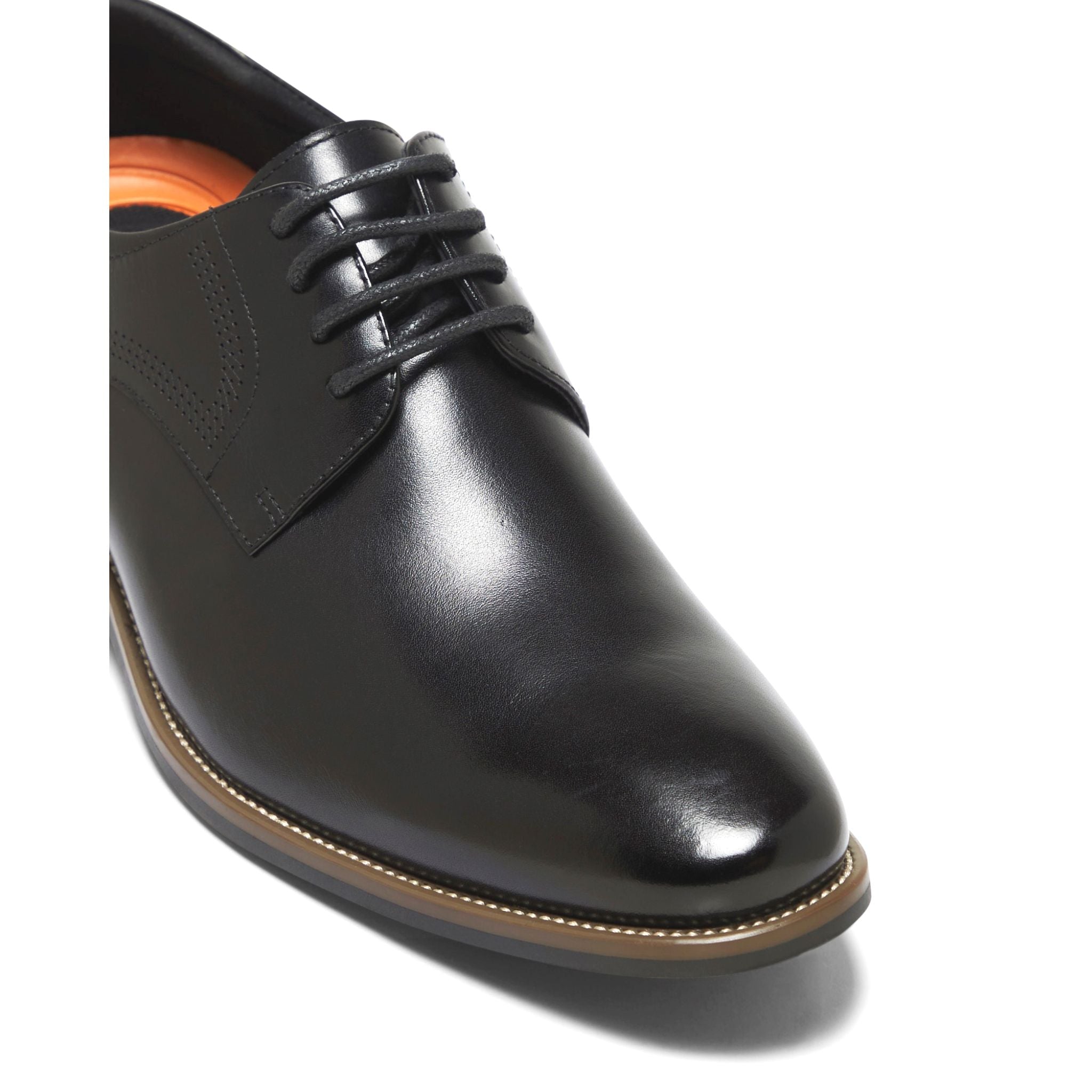 Whale H Black
