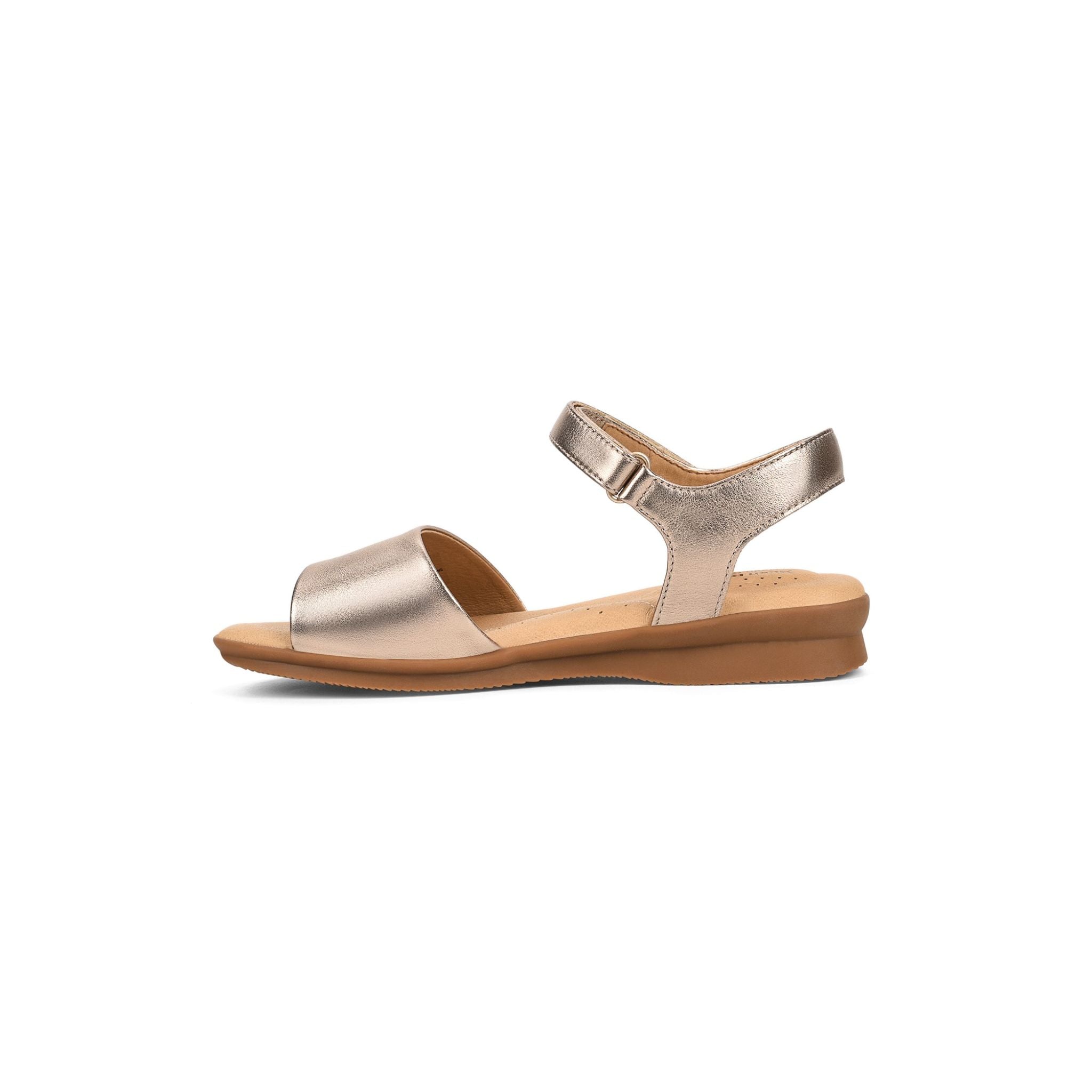 Nigella-PL Soft-Gold