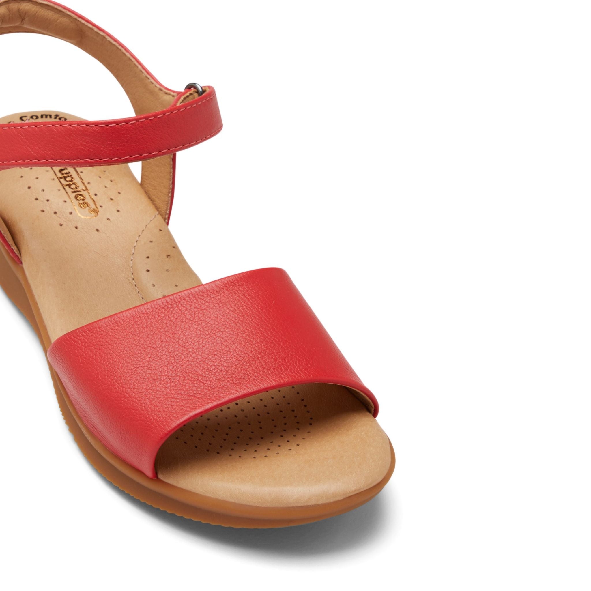 Nigella PL H Red-Maple